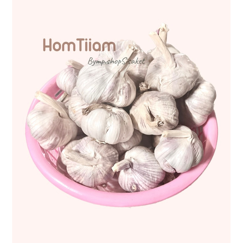 กระเทียมสด กระเทียมคัดพิเศษ คัดเกรด(กระเทียมจีน)