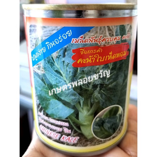 เมล๋็ดพันธุ์ คะน้า คะน้าฮ่องกง คะน้าใบเห็ดหอม บรรจ 50 กรัม 🪴สิ้นอายุทำพันธุ์ 9/2567🪴ปลูกง่าย กินอร่อย