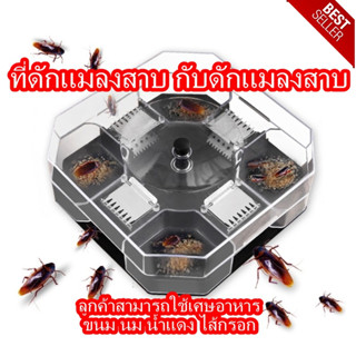 ที่ดักแมลงสาบ กับดักแมลงสาบ ดักแมลงสาบ กล่องดักแมลงสาบ