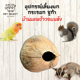 บ้านนก บ้านเพาะนก กล่องเพาะนก ลูกมะพร้าวแห้งทำบ้านนก(สำหรับนกฟักไข่)