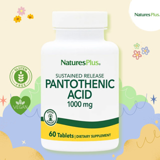 NaturesPlus Pantothenic Acid Sustained Release 1,000mg – 60 Tablets ☘ช่วยในการพัฒนาของระบบประสาทส่วนกลาง☘