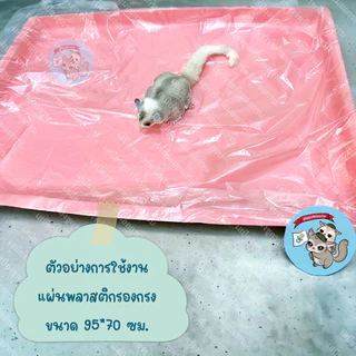 ( แผ่นพลาสติกรองกรง 50 ชิ้น ) PLASTIC CAGE COVER แผ่นคลุมถาดรองกรง แผ่นพลาสติกคลุมถาดรองกรง ถาดรองกรง กรง อาหาร หนอนนก