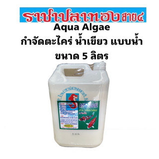 ยากำจัดตะไคร่ น้ำเขียว แบบน้ำ  ขนาด 5 ลิตร aqua algae