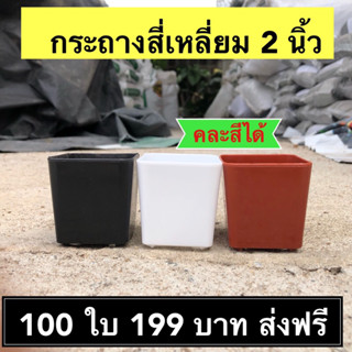 📍ส่งฟรี📍กระถางสี่เหลี่ยม 2 นิ้ว ดำ/ขาว/อิฐ จำนวน 100 ใบ คละสีได้