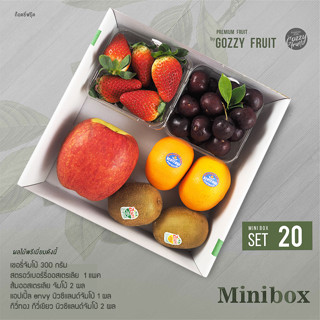 Premium fruit Mini box set 20