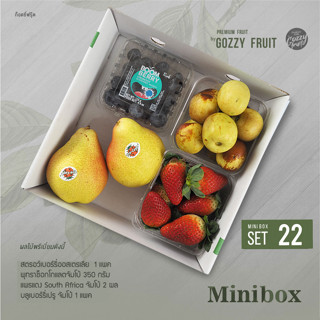 Premium fruit Mini box set 22