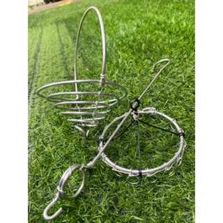 กระเช้าทิลเลนเซีย+ห่วงเคราฤาษี