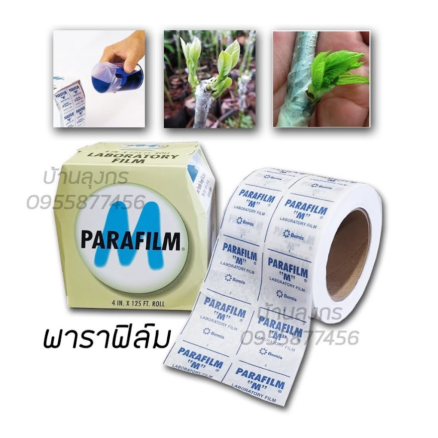 พาราฟิล์ม M แบ่งขาย 2 ฟุต และ 4 ฟุต(ของแท้100%)