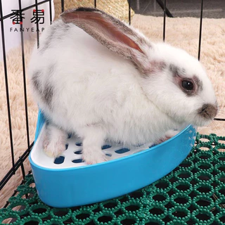 ห้องน้ำกระต่าย ห้องน้ำหนู ชินชิล่า หนูตะเภา Small Pet Rabbit