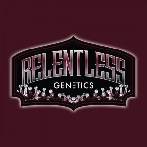 หายาก!! Relentless Genetics.