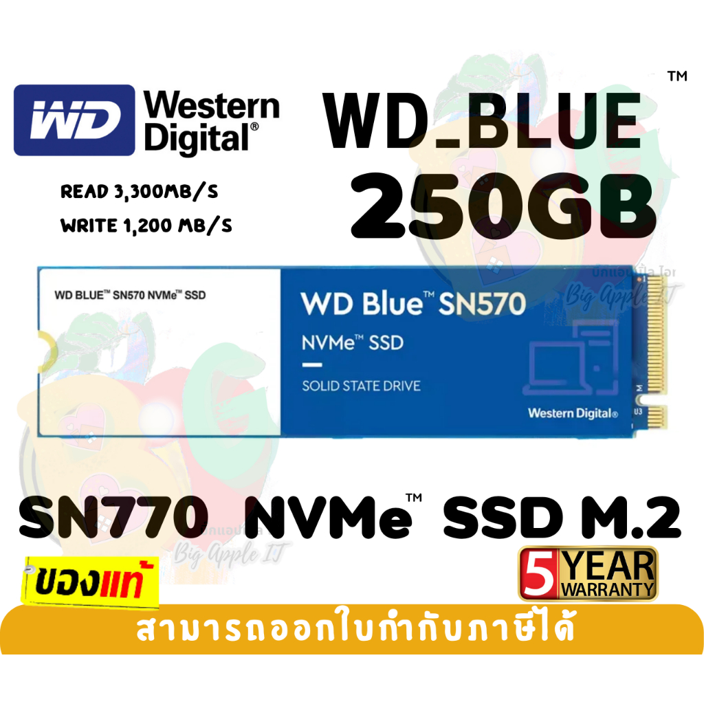 250GB SSD (เอสเอสดี) WD BLUE (SN570) - PCIe 3/NVMe M.2 2280 3300/1200MB/s (WDS250G3BOC-NVM) - 5Y