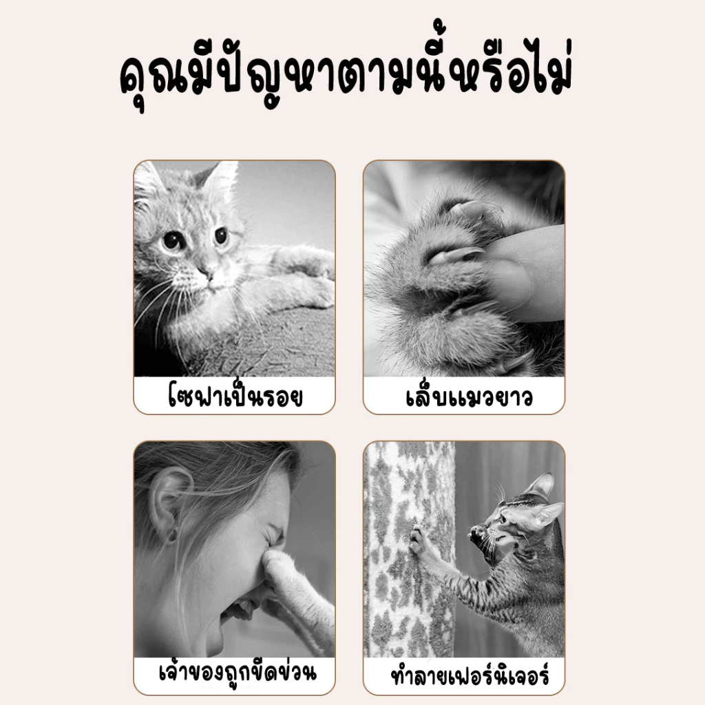 ที่ฝนเล็บแมว กระดาษลูกฟูก แบบโซฟา ที่ข่วนเล็บแมว ที่ลับเล็บแมว thumbnail 6