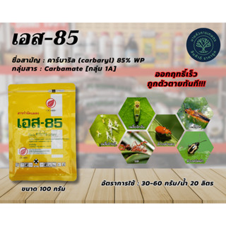 เอส-85 คาร์บาริล ป้องกันกำจัดแมลงศัตรูพืช เพลี้ยต่างๆ หนอน แมลงปีกแข็ง ด้วง มด ปลวก มอดขนาด 100 กรัม