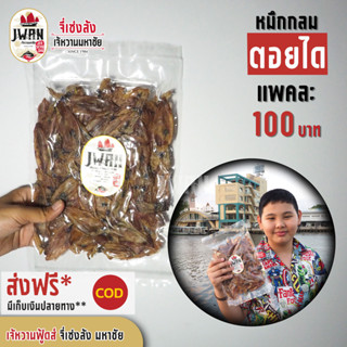 หมึกกลมตอยไดจืด หมึกกะตอยได ปลาหมึกกะตอย ปลาหมึกเรือได แพ้ค100บาท