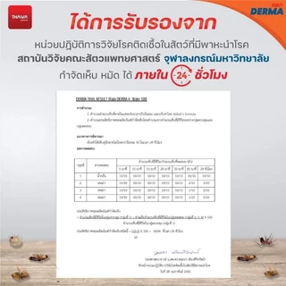 เดอม่า เอ็มม๊อกไซด์ 100มล. น้ำยากำจัดเห็บ หมัด ไร ขี้เรื้อน ในสัตว์เลี้ยง