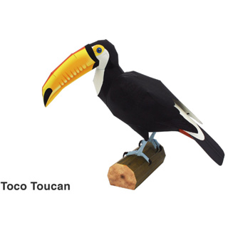 โมเดลกระดาษ 3D : Toco Toucan นกทูแคน  กระดาษโฟโต้เนื้อด้าน  กันละอองน้ำ ขนาด A4 220g.