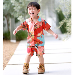 Restock!! Mikaloveskids - Sunkissed shirt set