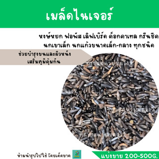 เมล็ดไนเจอร์  (แบ่งขาย 200-500G.)