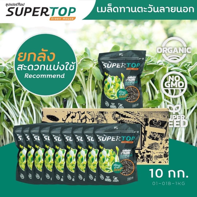 เมล็ดทานตะวันงอก เมล็ดนอกนำเข้า (คัดไซ้ร์ใหญ่พิเศษ) อัตราการงอก 95% แพ็ค 10 ถุง ราคาส่ง (พิเศษ)