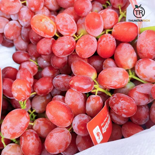ส่งฟรี‼️สินค้าเข้าใหม่ 17/8/69‼️ Sweet Scarlet Grape 🍇🇨🇳 องุ่นแดงไร้เมล็ดลิ้นจี่กล่องแดงนกแก้ว🛳️