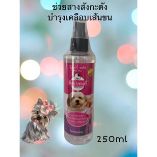 ท็อปเซนท์ ซิลค์กี้ พลัส Topscent