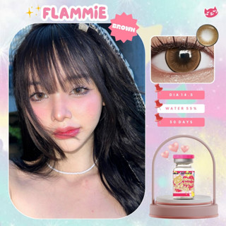 Kitty Kawaii flammie brown