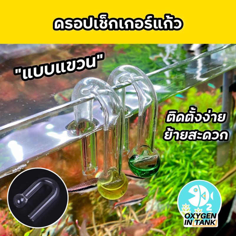 ดรอปเช็กเกอร์แก้ว แบบแขวน ใช้สำหรับใส่น้ำยาวัดปริมาณ CO2 ตู้ไม้น้ำ