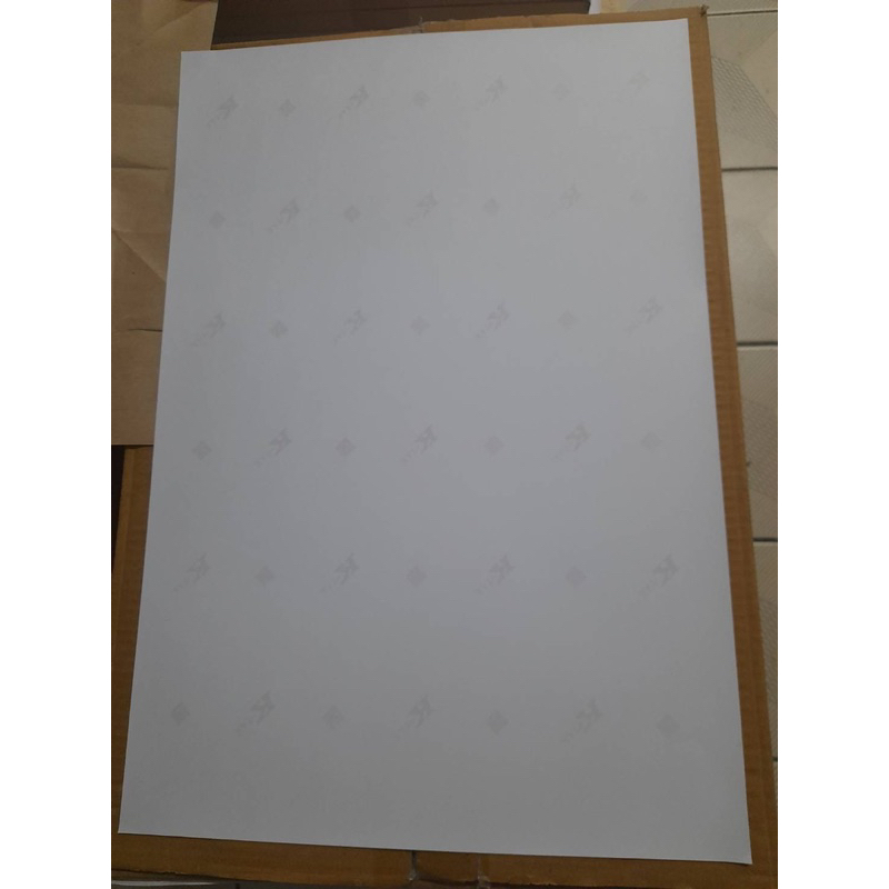 sticker PP TKK ขาวมัน A3 (297x420mm) 10 แผ่น