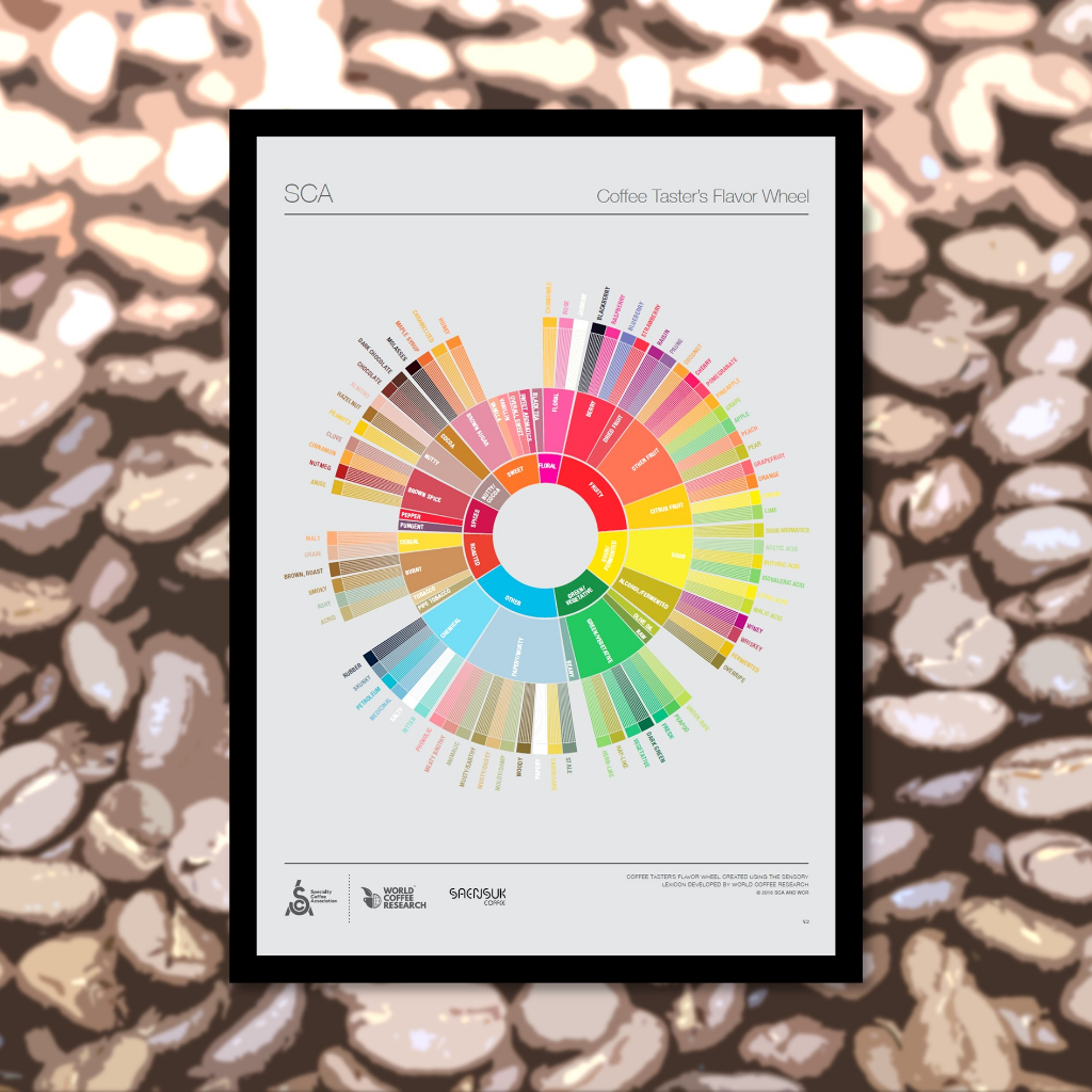 Poster : วงล้อรสชาติกาแฟ [Coffee Taster's Flavor Wheel] มีขนาด A4, A3 พร้อมกรอบ (รับพิมพ์ตามออเดอร์)
