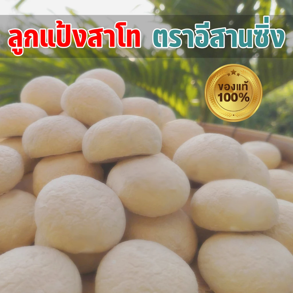 แป้งหมักสาโท หวานๆ หอมๆ มีวิธีทำให้ด้วย 10 ลูก 50 บาท