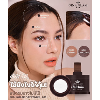 แฮร์ไลน์ พัฟ พาวเดอร์ เนื้อฝุ่น GINA GLAM Hairline Puff Powder G06