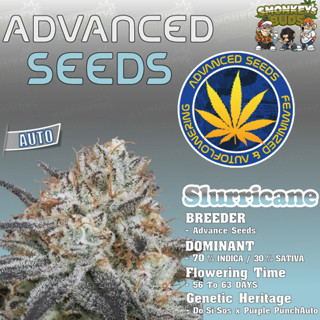 ค่าย Advanced seed ค่ายแท้💯 จากตัวแทนเมล็ดพันธุ์กัญชานอก