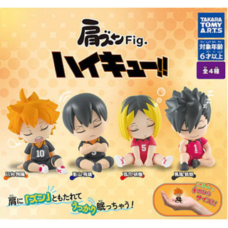 🌟พร้อมส่ง🌟 กาชาปอง Katazun Fig. Haikyu!!