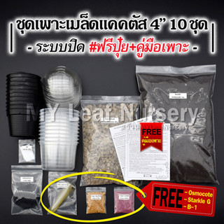 ชุดเพาะเมล็ดแคคตัส 4 นิ้ว ชุด10 กระถาง ระบบปิด *ไม่มีเมล็ด* มีคู่มือพร้อมเพาะเมล็ด