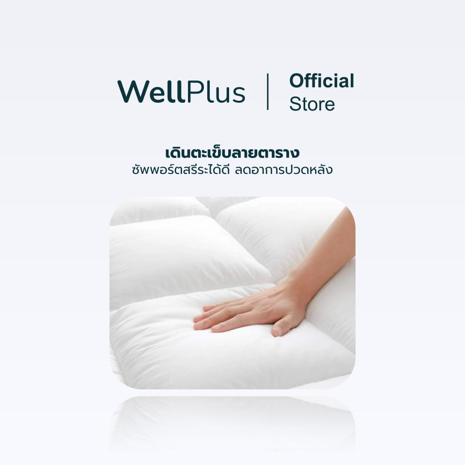WellPlus Topper รุ่น Casey หนา 4 นิ้ว ท็อปเปอร์สุขภาพ ที่นอน Conjugated Siliconized Fiber