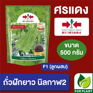 เมล็ดพันธุ์ ผักซอง ศรแดง Big ถั่วฝักยาว นิลกาฬ2 บรรจุ 500 กรัม