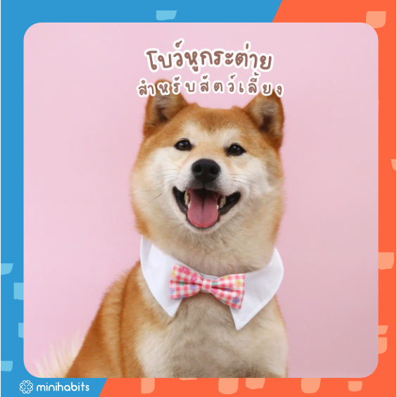 [ พร้อมส่ง] โบว์หูกระต่ายสัตว์เลี้ยง Kiki Daisy Bow Collar โบว์แมว โบว์สุนัข ปลอกคอสัตว์เลี้ยง