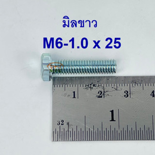 สกรูมิลขาวเกลียวตลอด ปะแจเบอร์10 ขนาด M6-1.0 x 25 (บรรจุ 100 ตัว)