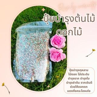 ปุ๋ยกุหลาบ ปุ๋ยเม็ดสูตรพิเศษ (500g.) บำรุงต้น ราก ดอกดก ดอกใหญ่ เร่งการเจริญเติบโต แตกกระโดงเก่ง เหมาะกับพืชทุกชนิด