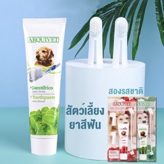 Pet Oral Cleaning Toothpaste Toothbrush Set Pet Toothpaste ผลิตภัณฑ์ทําความสะอาดสัตว์เลี้ยง