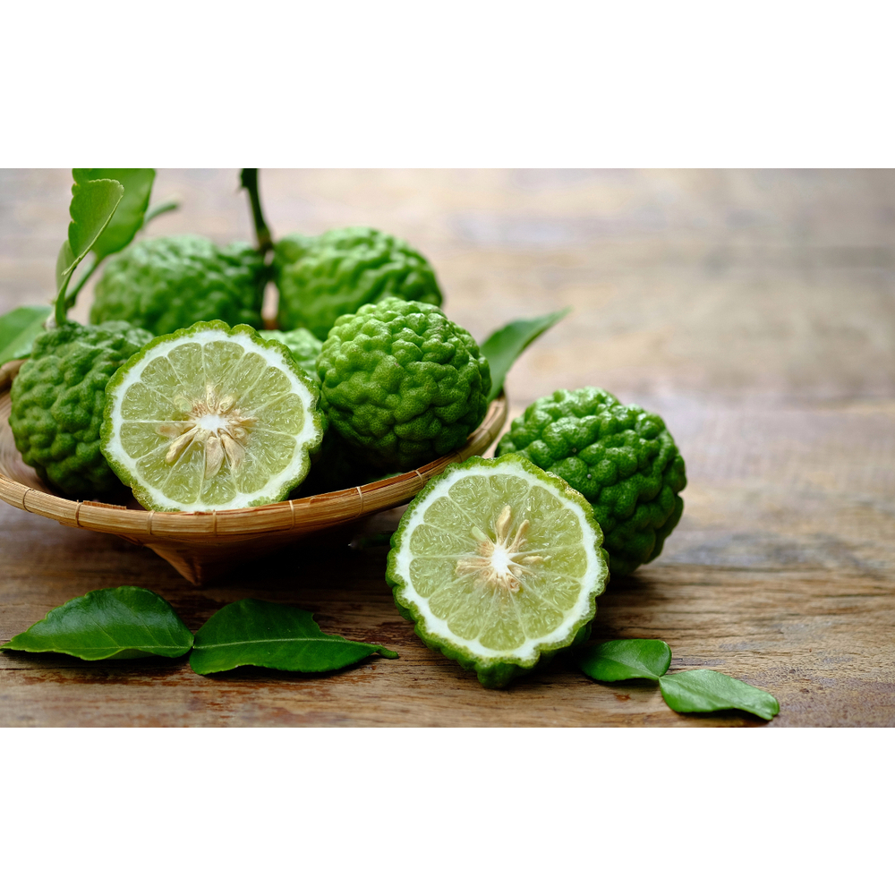 ต้นมะกรูด ต้นเสียบยอด🍐เปลือกหอม น้ำเยอะ ปลูกง่าย🌲ความสูงต้นประมาณ 45-50 ซม.🌴🌴 - รูปที่ 2