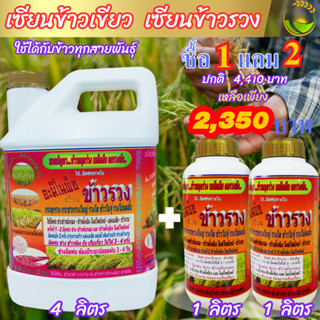 [พร้อมส่ง] เซียนข้าวรวง 4 ลิตร ซื้อ1แถม2 ฮอร์โมนบำรุงข้าว ปุ๋ยฉีดข้าว ยาฉีดข้าว อาหารเสริมข้าวตั้งท้อง ฮอร์โมน