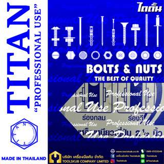 TITAN “PROFESSIONNAL USE” MADE IN THAILAND ล้อเหล็ก-หล่อ ลูกปืนเม็ด ร่องคู่ 2.1/2x1"