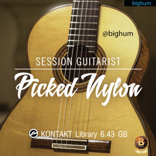 SESSION GUITARIST – PICKED NYLON Kontakt Library