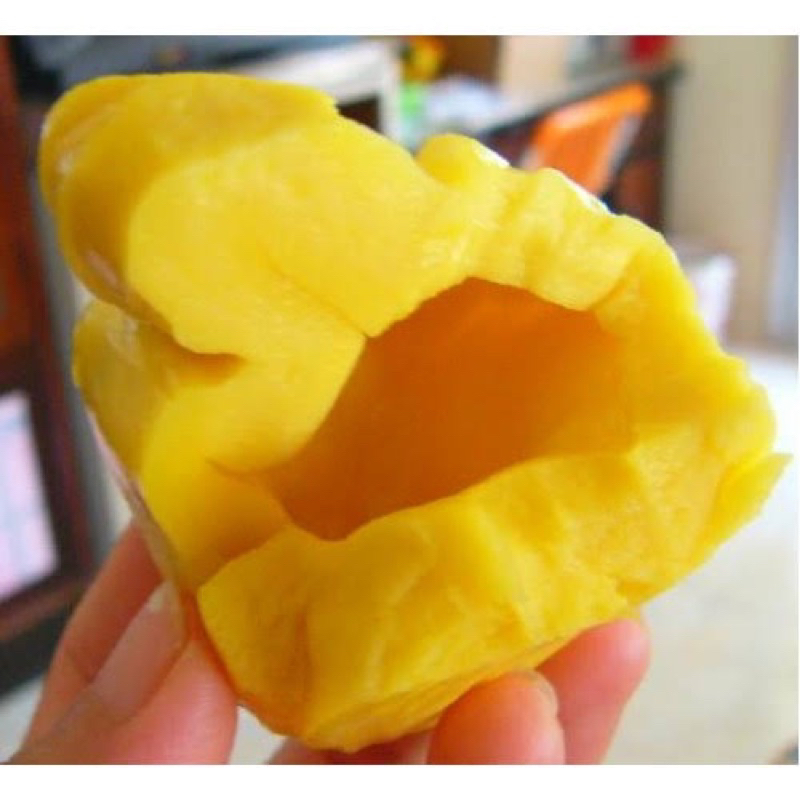 #ต้นขนุนทองประเสริฐ (ทาบกิ่ง) สูงราว60-70เซน ของแท้ราชินีขนุนเหลือง - รูปที่ 2