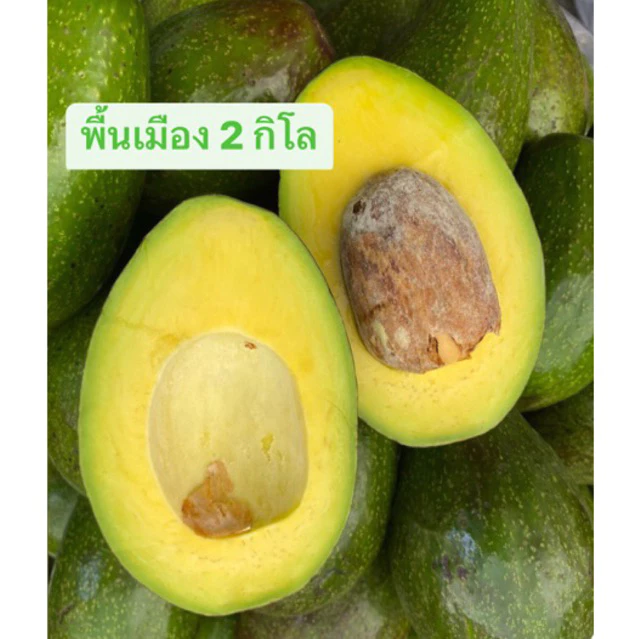 อะโวคาโด พื้นเมืองผสมบัคคาเนี่ย 2 กิโล คัดเกรด ลูกใหญ่สวย เกรดพรีเมียม ส่งจากเชียงใหม่ พื้นที่ห่างไกลงดเคลม