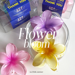 พร้อมส่ง Flower bloom กิ๊บติดผมดอกไม้🌸🌼