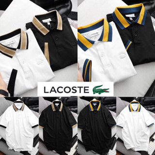 เสื้อโปโลคอปก Lacoste Basic 🐊 ผ้า Cotton 💯 | เสื้อคอปกผู้ชาย | เสื้อโปโล 👕 ร้านค้าจัดส่งไว