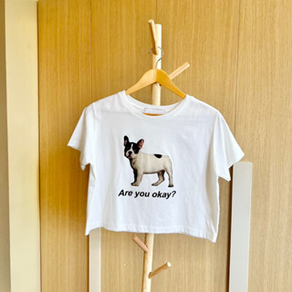 เสื้อยืด Frenchbulldog