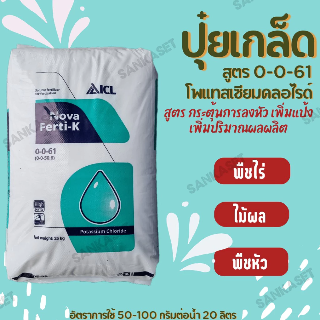 ขายดี🔥ปุ๋ยเกล็ด 0-0-61 🔥Potassium Chloride สูตร บำรุงผลผลิต เร่งแป้ง ลงหัว (ขนาดแบ่งบรรจุ 1 กิโลกรัม)